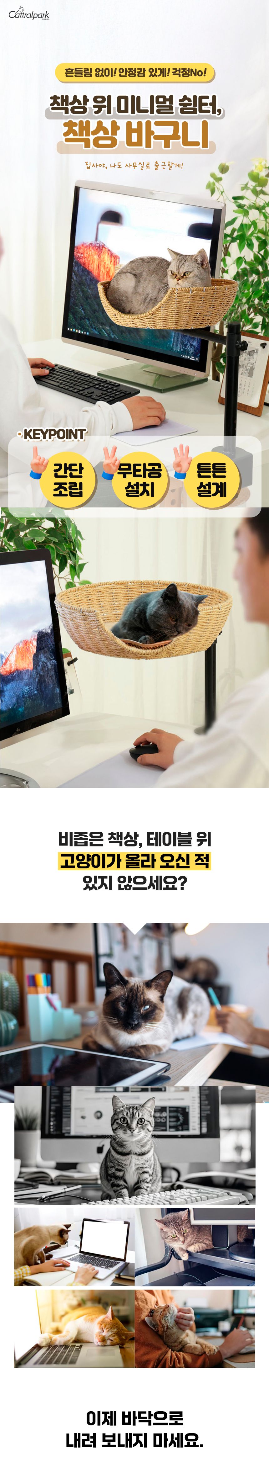 캣트럴파크 책상 바구니 1번째