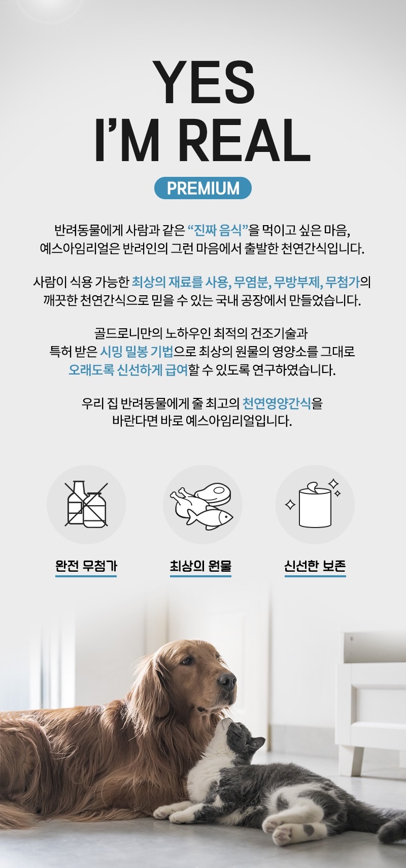 [무료배송] [추가증정] 골드로니 예스아임리얼 바다산삼 무염북어채 60g + 순살스틱 2p 증정 2번째