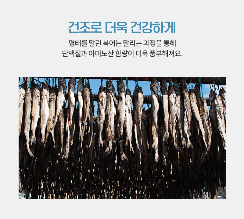 [무료배송] [추가증정] 골드로니 예스아임리얼 바다산삼 무염북어채 60g + 순살스틱 2p 증정 16번째