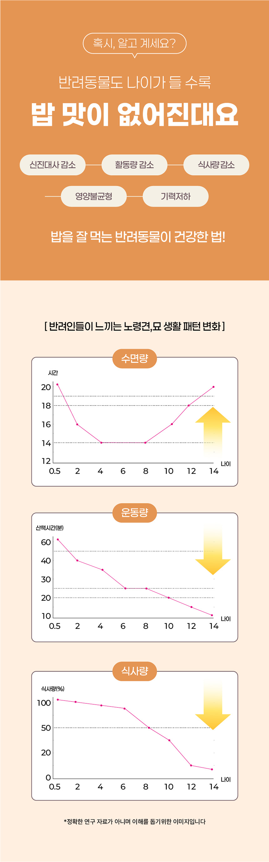 [NEW신상][무료배송] 페네핏 팔레트파우더 6종 4g*3개입 7번째