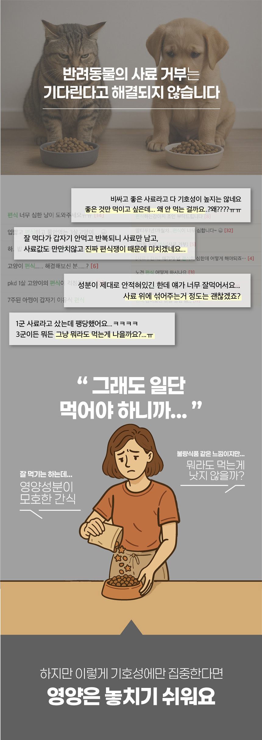 [NEW신상][무료배송] 페네핏 팔레트파우더 6종 4g*3개입 3번째