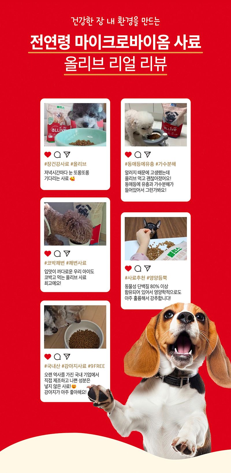 올리브 독 에너지 6kg 2번째