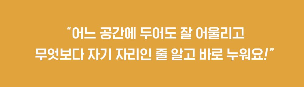 [무료배송] 두잇 눕눕 쿠션인베드 세트 2번째