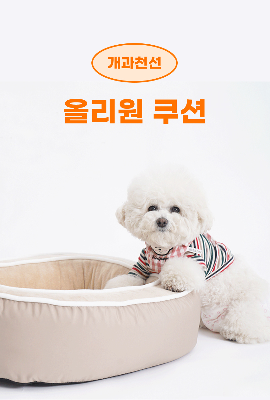 [NEW신상][무료배송] 개과천선 올리원 쿠션 (그레이/베이지) 1번째