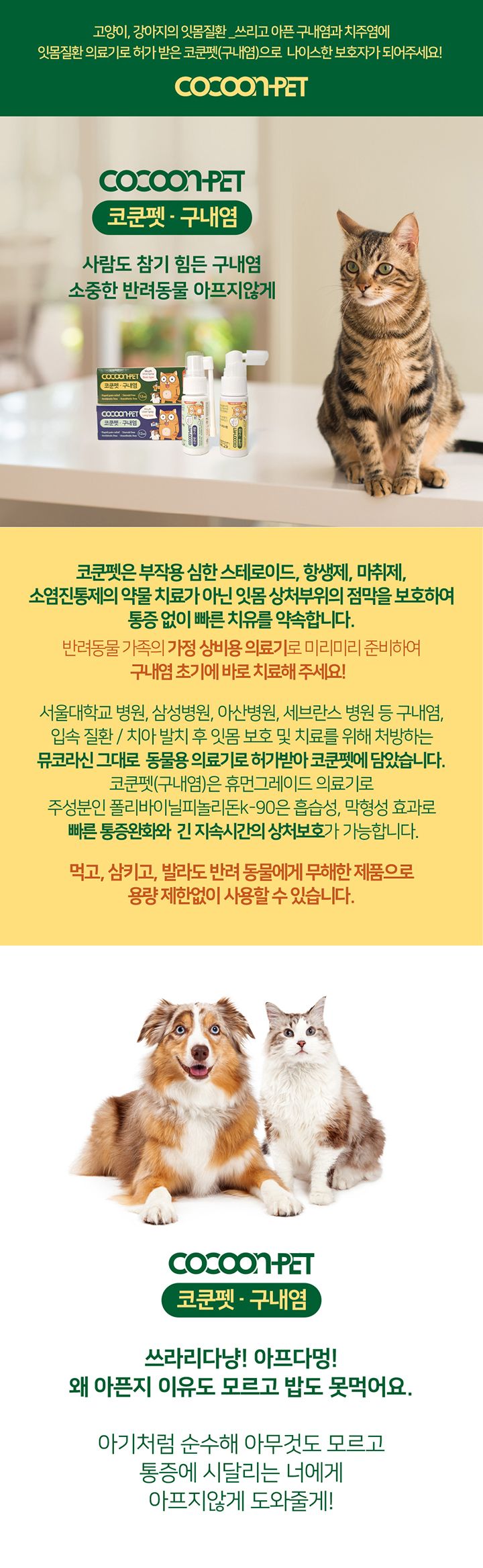 코쿤펫 구내염치료제 베이직타입 12ml 2번째