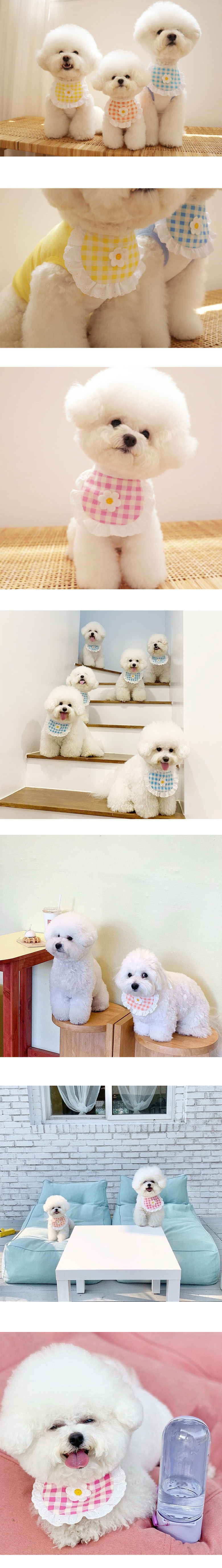 [무료배송] 예보들 핸드메이드 케이프 옐로우/핑크/블루/오렌지 1번째