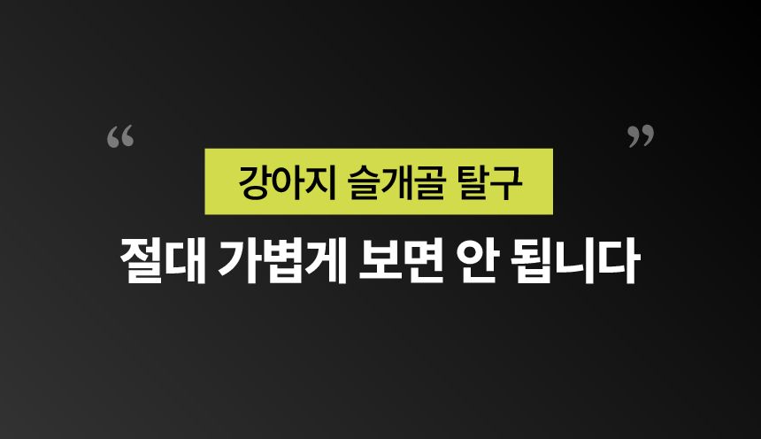 [NEW신상][무료배송] 펫글로우 독 아티플러스 관절 영양제 100g 9번째