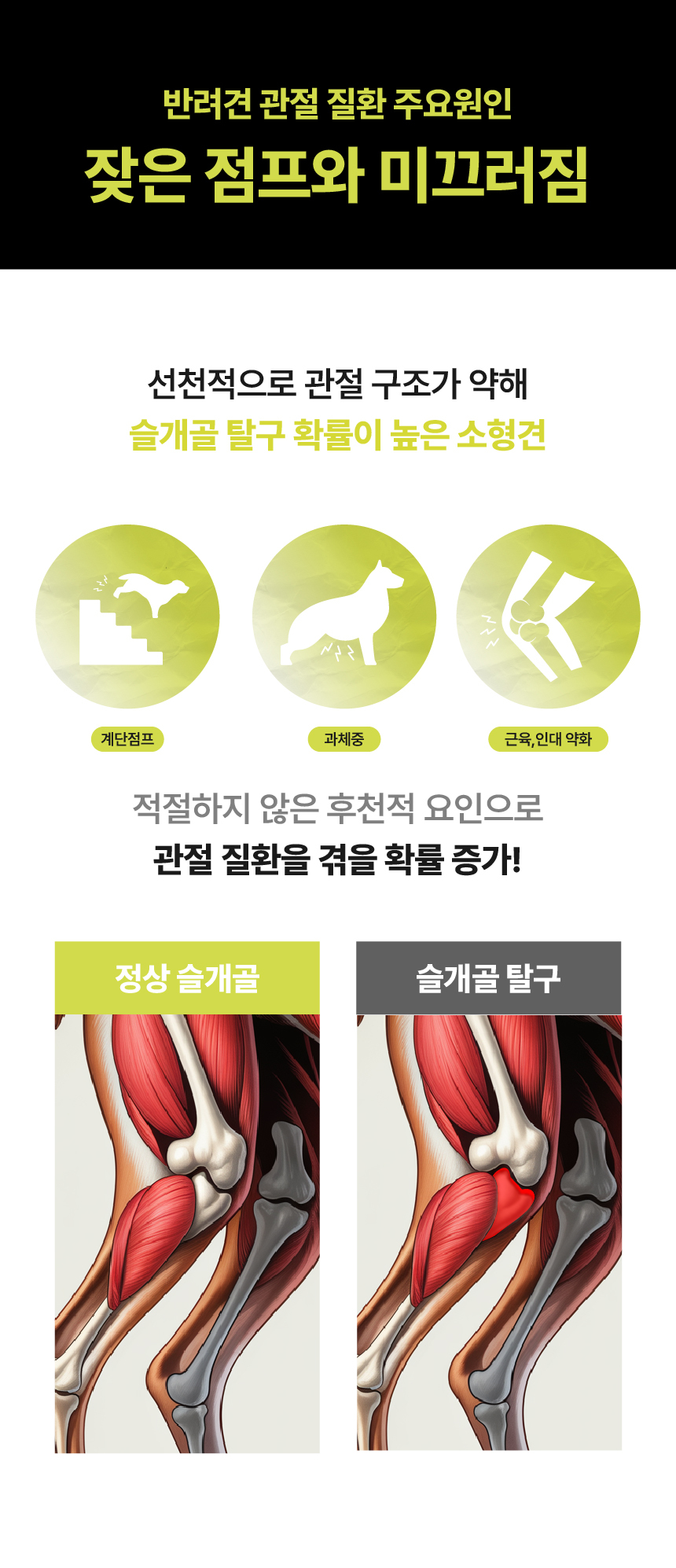 [NEW신상][무료배송] 펫글로우 독 아티플러스 관절 영양제 100g 11번째