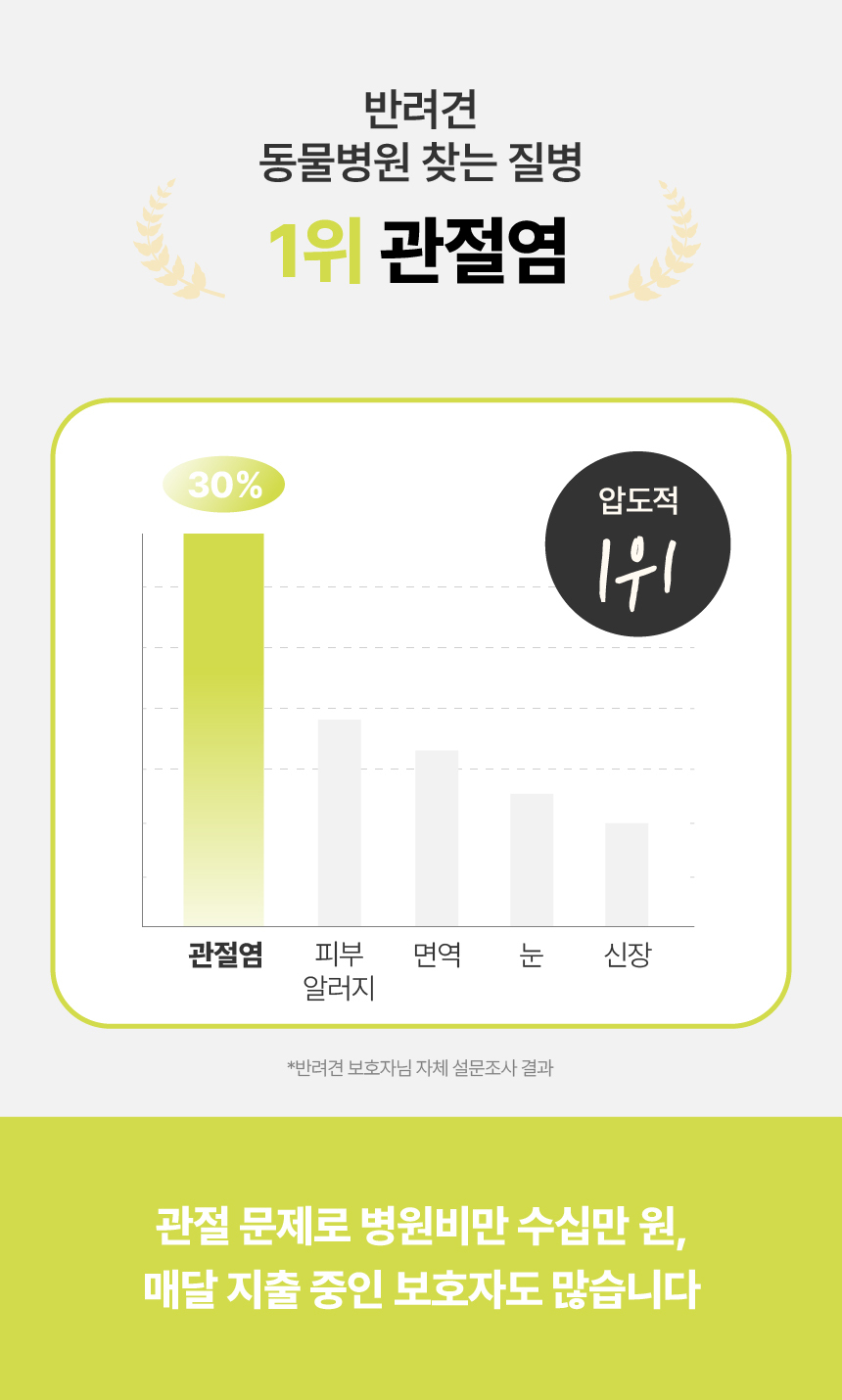 [NEW신상][무료배송] 펫글로우 독 아티플러스 관절 영양제 100g 8번째