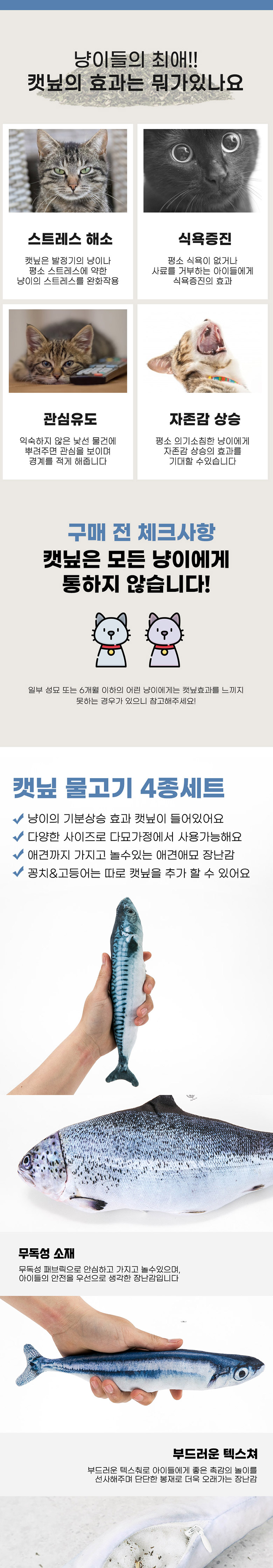 딩동펫 캣닢 물고기 세트 2번째