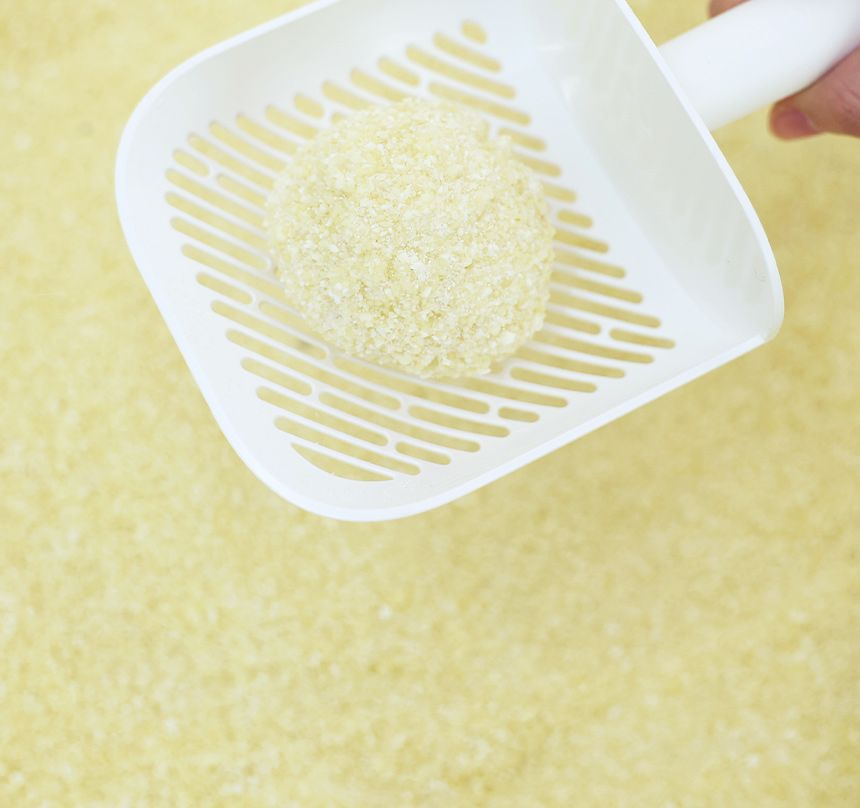 [심쿵펫페어]아메리칸솔루션 베이직 카사바 1박스 (4.55kg*3개입) 3번째