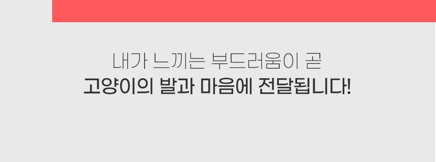 [심쿵펫페어]아메리칸솔루션 베이직 카사바 1박스 (4.55kg*3개입) 9번째