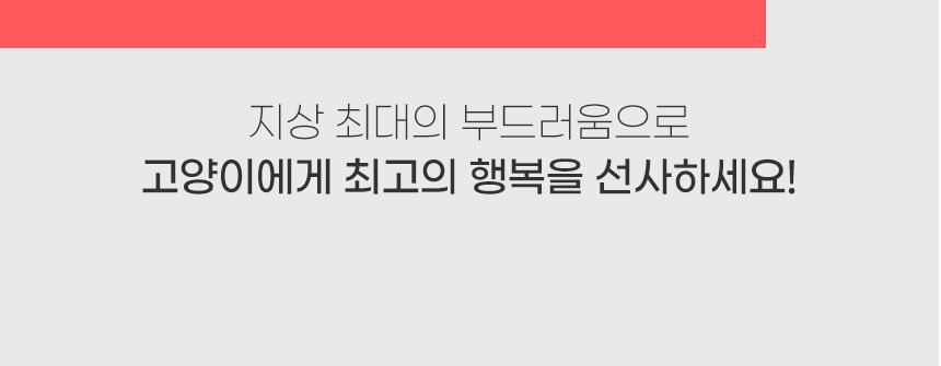 [심쿵펫페어]아메리칸솔루션 베이직 카사바 1박스 (4.55kg*3개입) 10번째