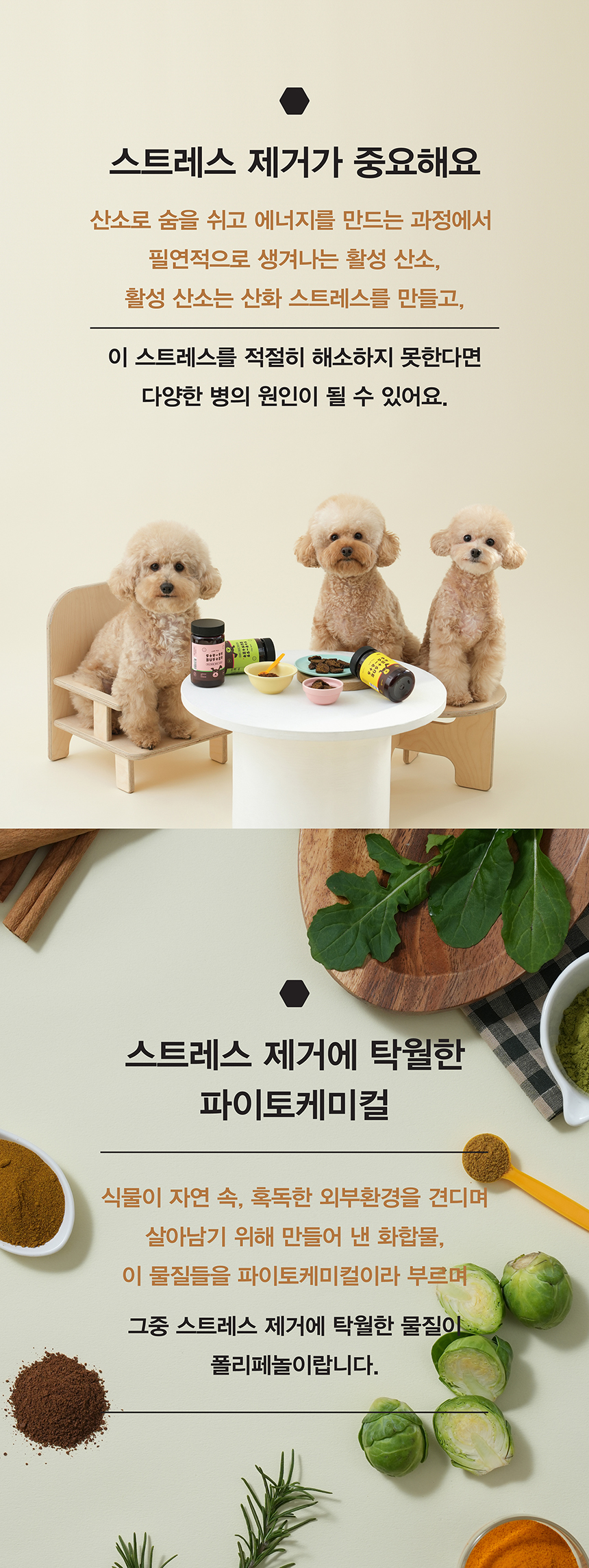 [무료배송] 스트러스버스터 부스터칩 이뮨 서포트 항산화제 말고기칩 60g 5번째
