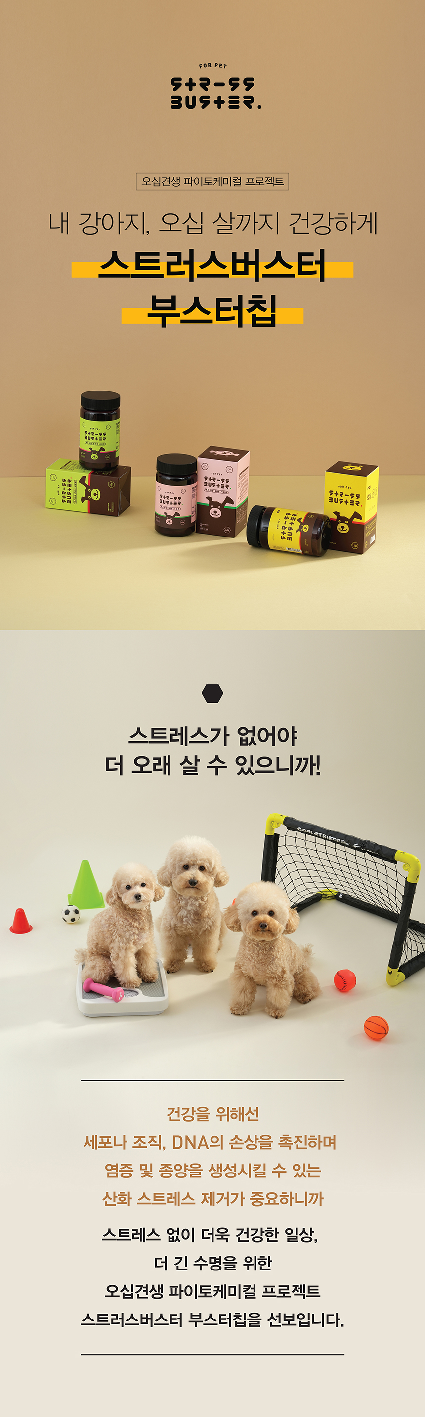 [무료배송] 스트러스버스터 부스터칩 이뮨 서포트 항산화제 말고기칩 60g 1번째