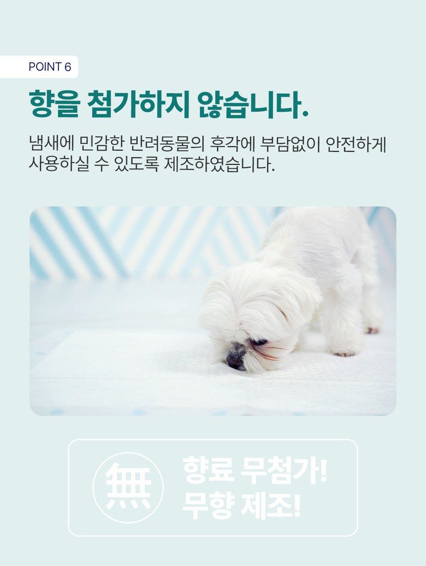 [무료배송] 견우직냥x국제멍멍패드 소형 50매 (40x50cm) 10번째