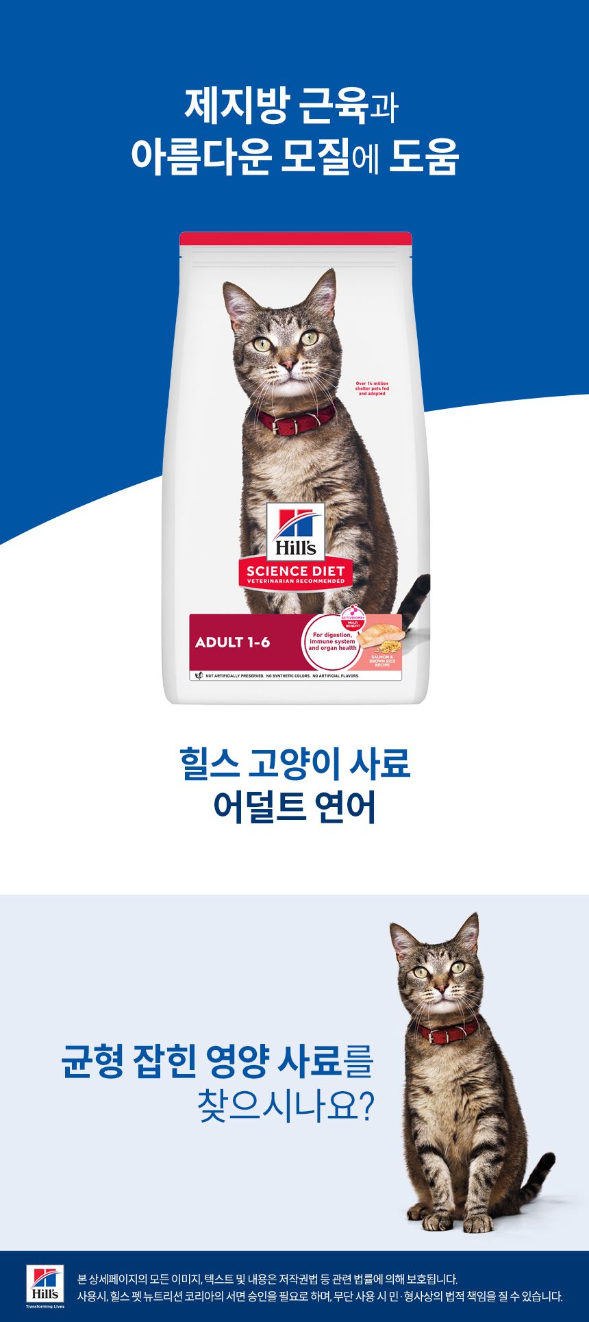 힐스 캣 어덜트 연어&현미 레시피 1.6kg 1번째