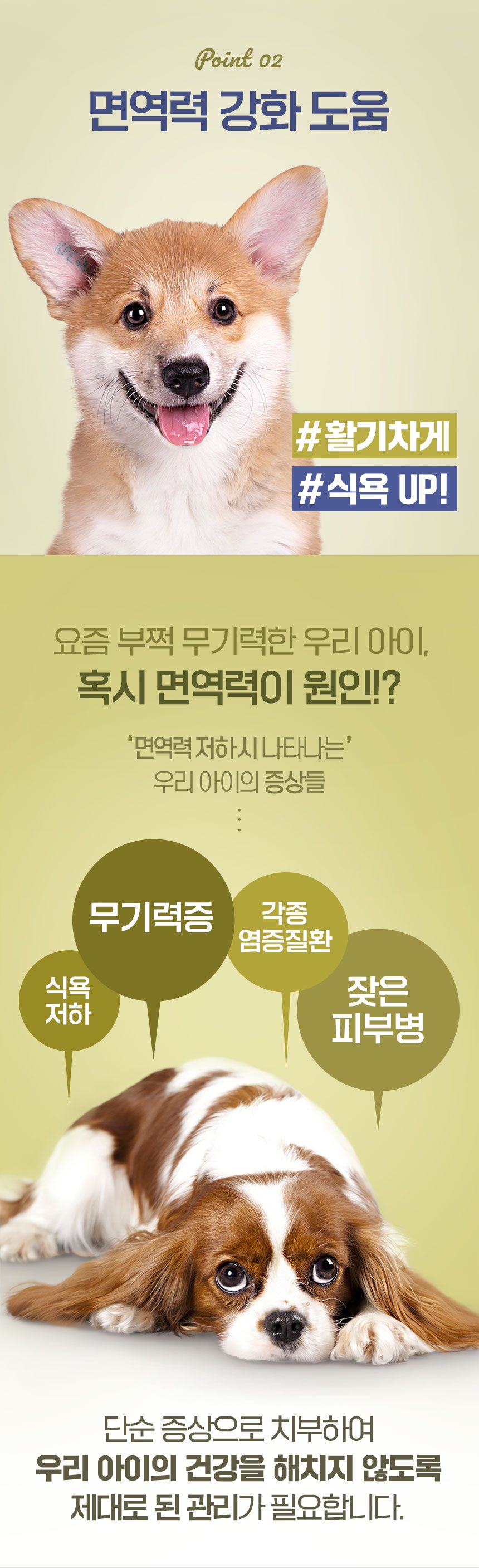 [무료배송] 맘앤대디 독 그레인프리 동충하초와 해죽순 1.2kg 5번째