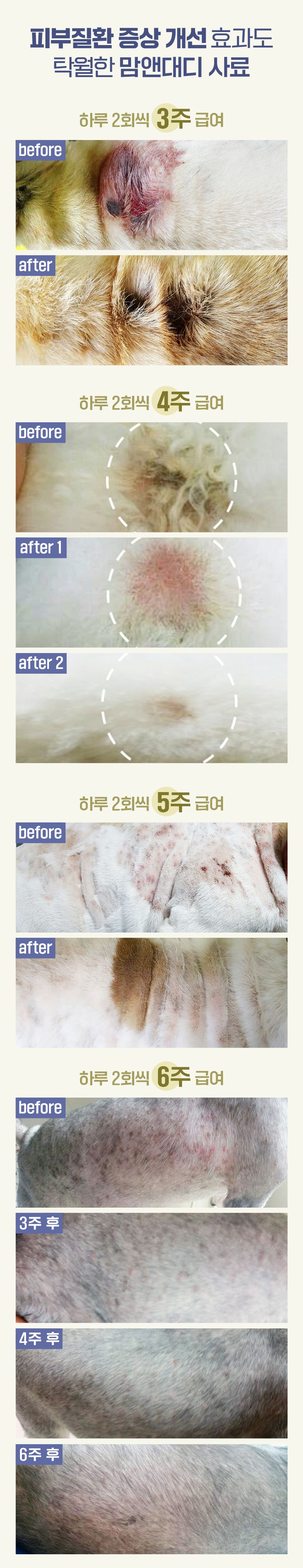 [무료배송] 맘앤대디 독 그레인프리 동충하초와 해죽순 1.2kg 7번째