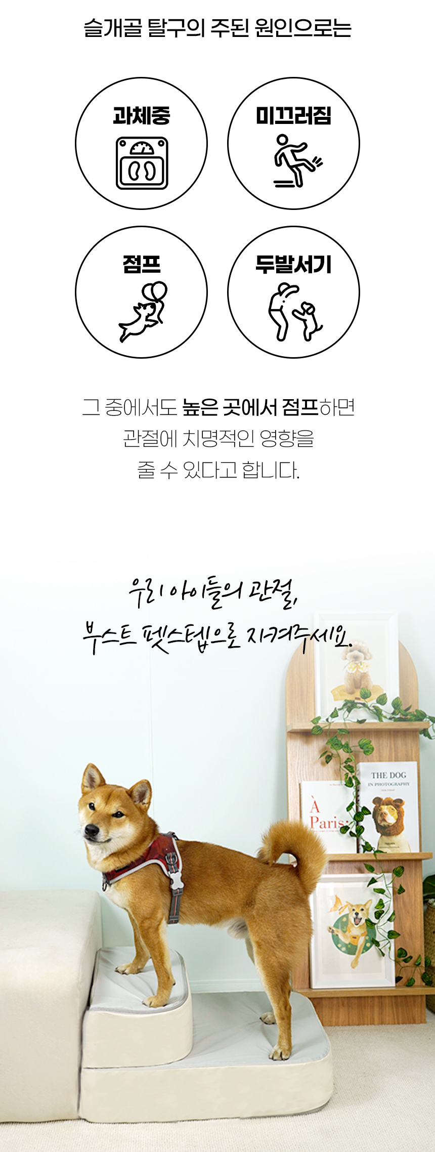 [NEW신상][무료배송] 개과천선 독 부스트 펫스텝 계단 2단 (아이보리/그레이) 4번째