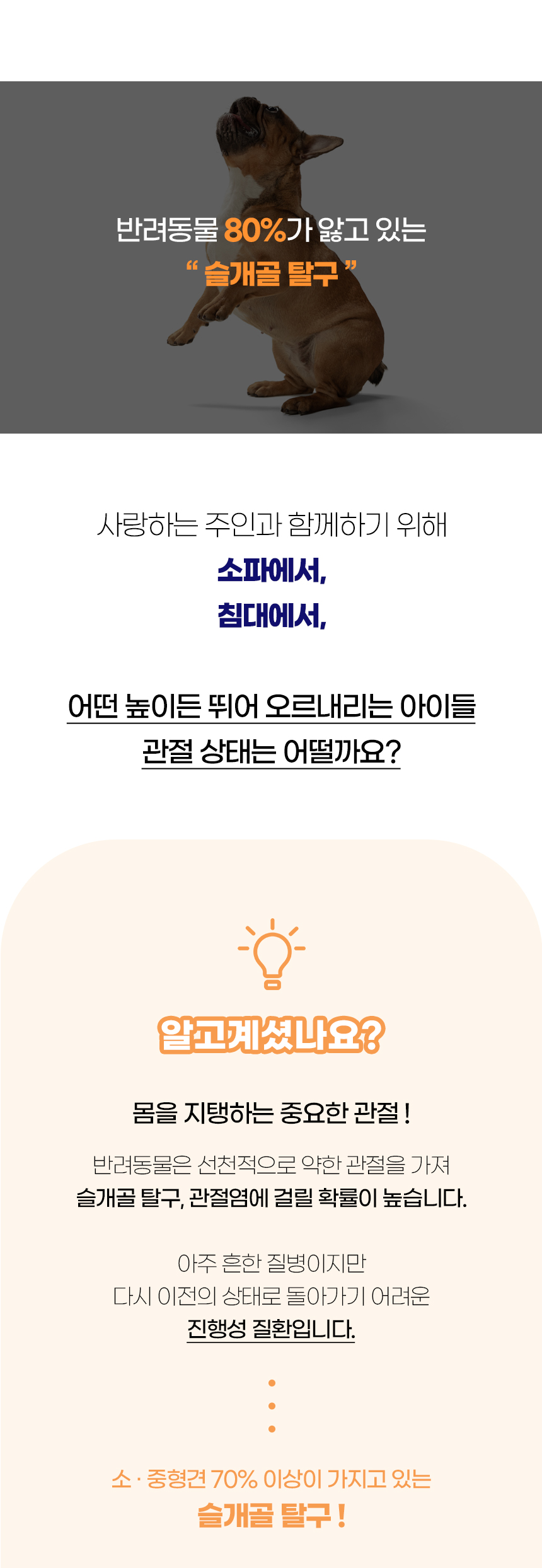 [NEW신상][무료배송] 개과천선 독 부스트 펫스텝 계단 2단 (아이보리/그레이) 2번째