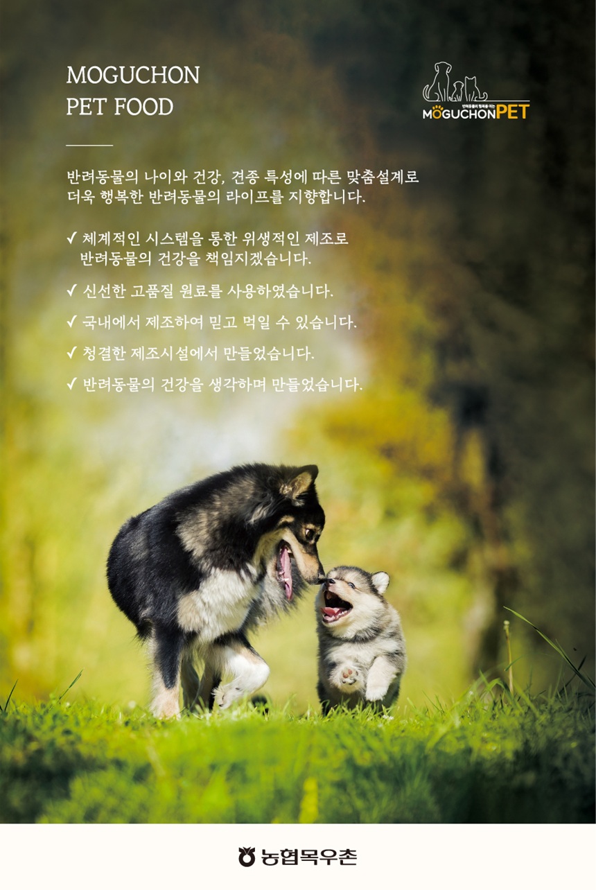 [NEW신상][무료배송] 목우촌 펫9단 독 네이처 올스테이지 건식 사료 1.2kg 5번째