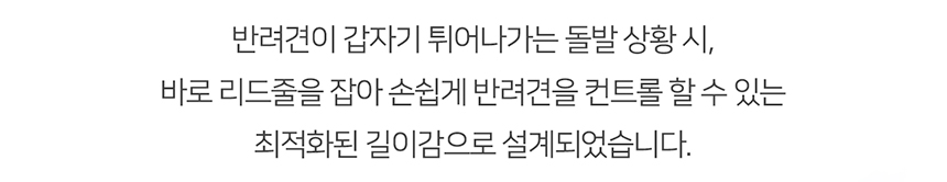 [무료배송] 니즈더펫 인터라켄 D120 더블 리드줄 11번째
