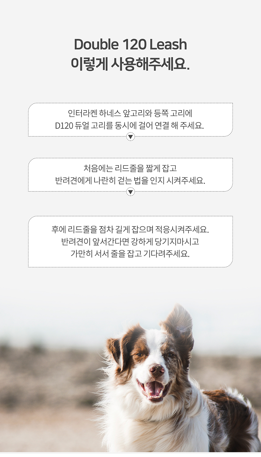 [무료배송] 니즈더펫 인터라켄 D120 더블 리드줄 18번째