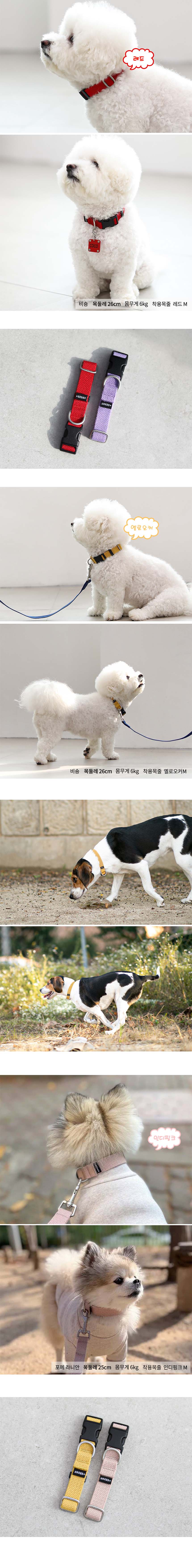 [무료배송] 플레이바우 H489 목줄 13종 S-L 6번째