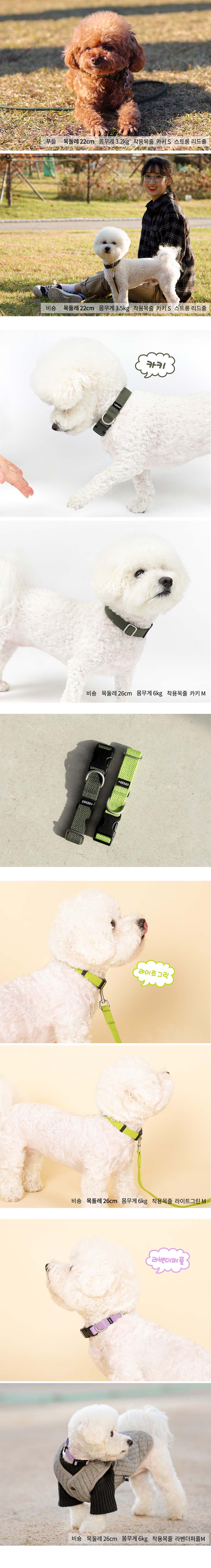 [무료배송] 플레이바우 H489 목줄 13종 S-L 7번째