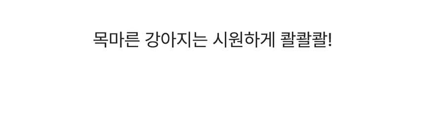 [심쿵펫페어][무료배송] 개님의상점 초경량 개님보틀캡 오렌지/옐로우/민트/퍼플 16번째