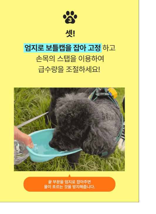 [심쿵펫페어][무료배송] 개님의상점 초경량 개님보틀캡 오렌지/옐로우/민트/퍼플 5번째
