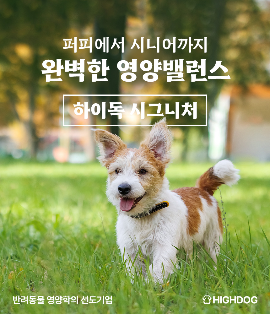 [무료배송] 하이독 시그니처 닭고기 화식 100g*20팩 1번째