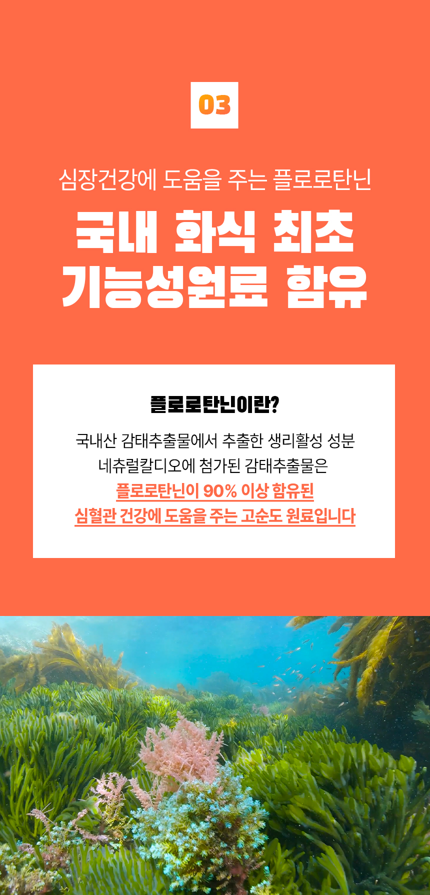 [심쿵펫페어][무료배송] 펫생각 데일리케얼 네츄럴칼디오 강아지 영양 화식 30p (치킨/비프) 18번째