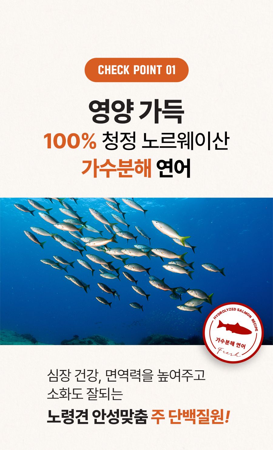 마이펫닥터 독 시그니쳐 포 라이프 시니어 2kg 6번째