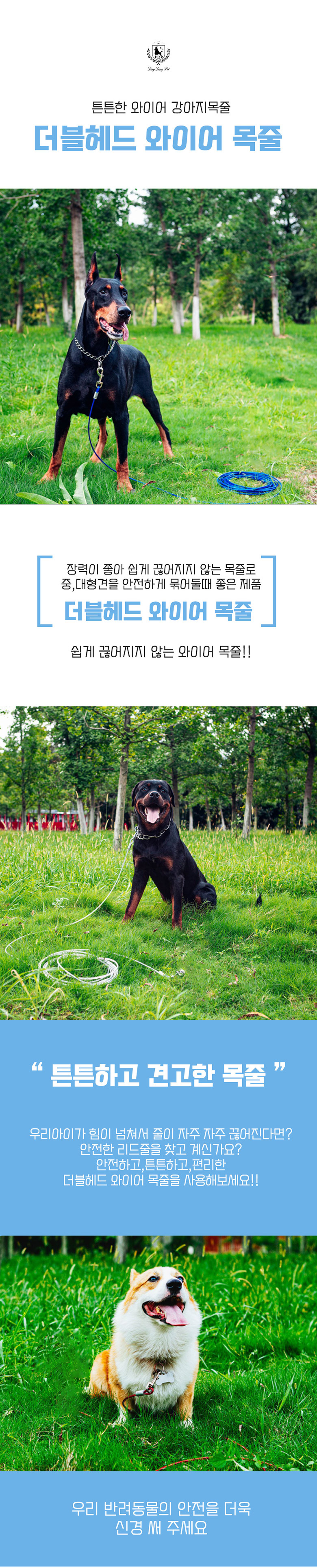 [무료배송] 딩동펫 강아지 리드줄 와이어 목줄 더블헤드 레드/블루/화이트 3M-10M 2번째