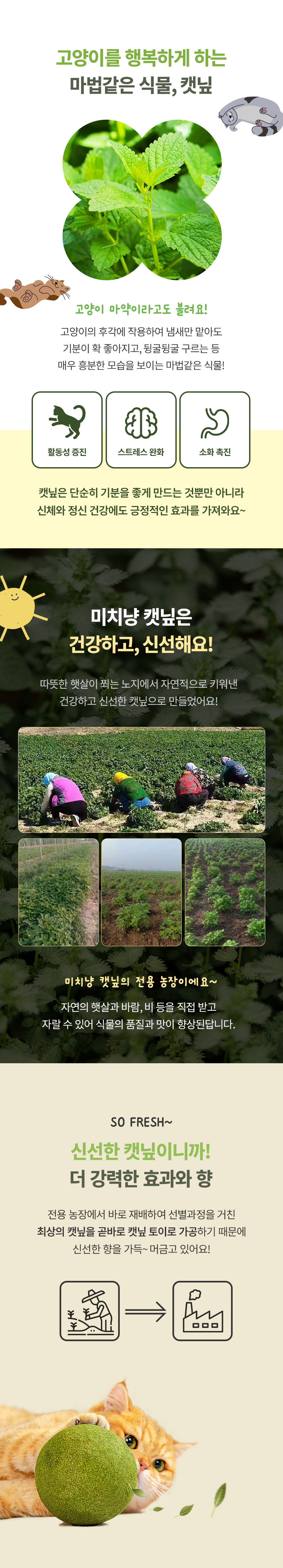 [NEW신상][무료배송] 크레용펫 캣닢 마따따비 버라이어티 팩 프리미엄 3번째