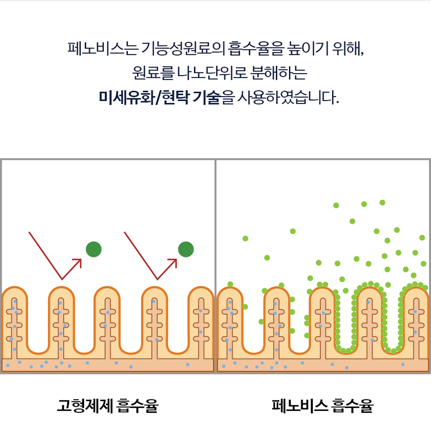 페노비스 독 종합 영양스틱 10g*30p 4번째