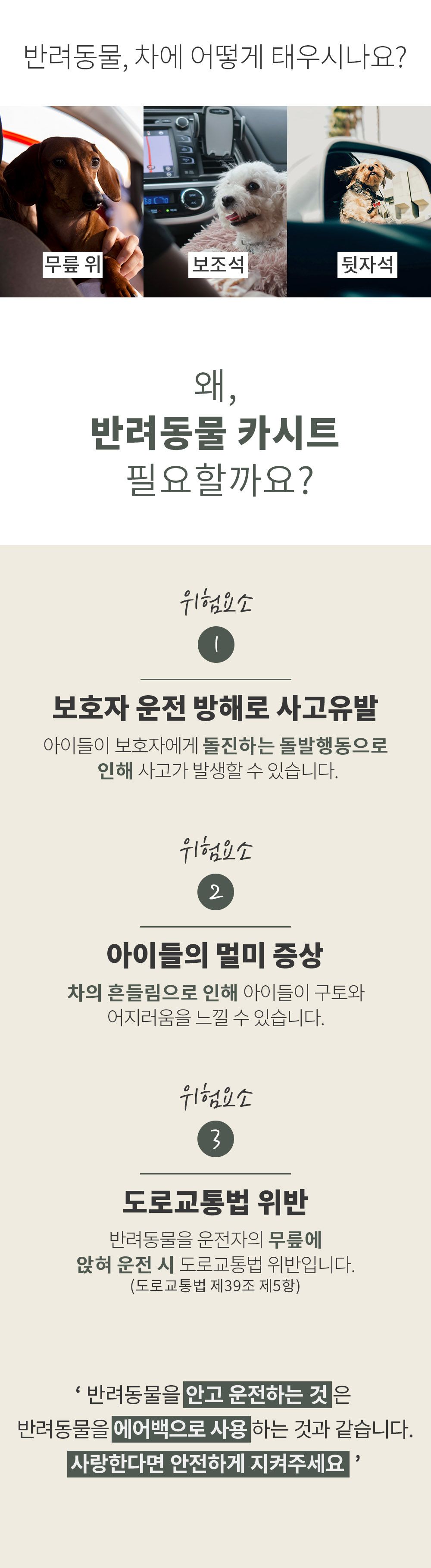 [무료배송] 스펠 튤립 카시트 6종 2번째