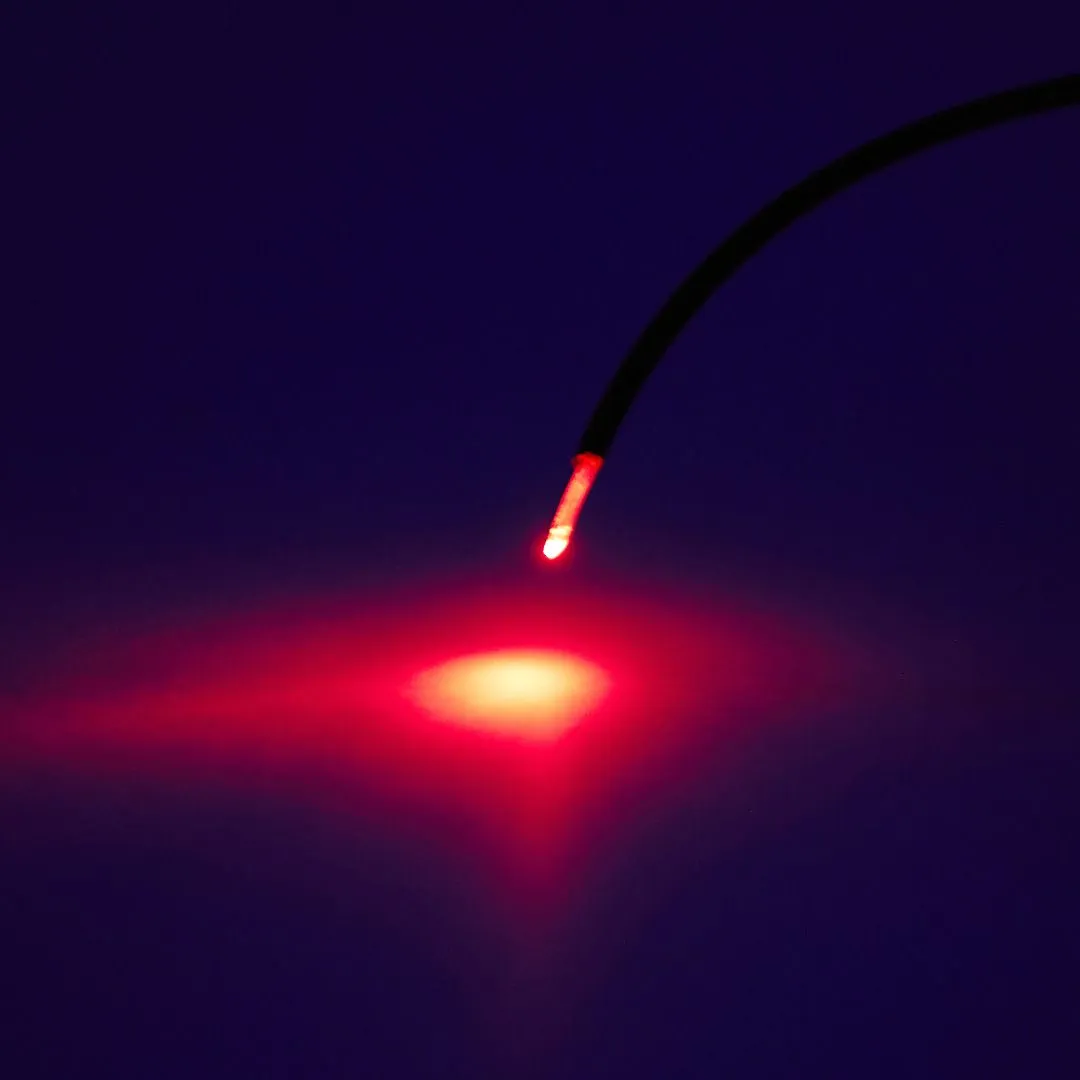 베스트 프라이스 LED 레이져 낚시대