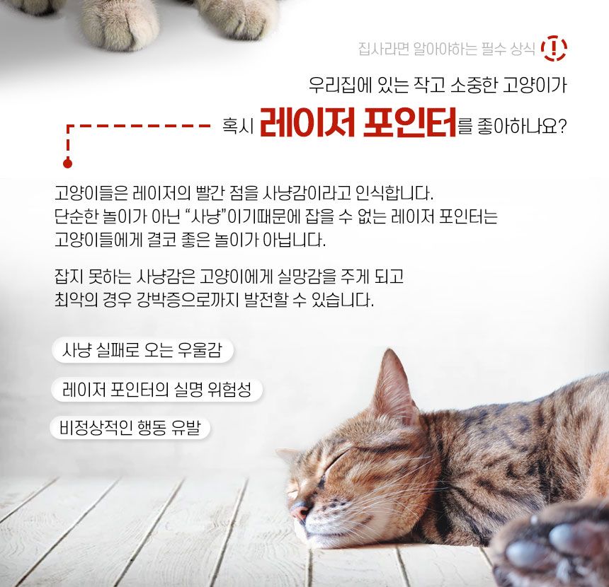배코코 반딧불 낚시대 5종 4번째