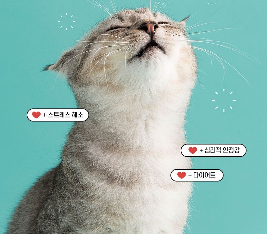 배코코 반딧불 낚시대 5종 15번째