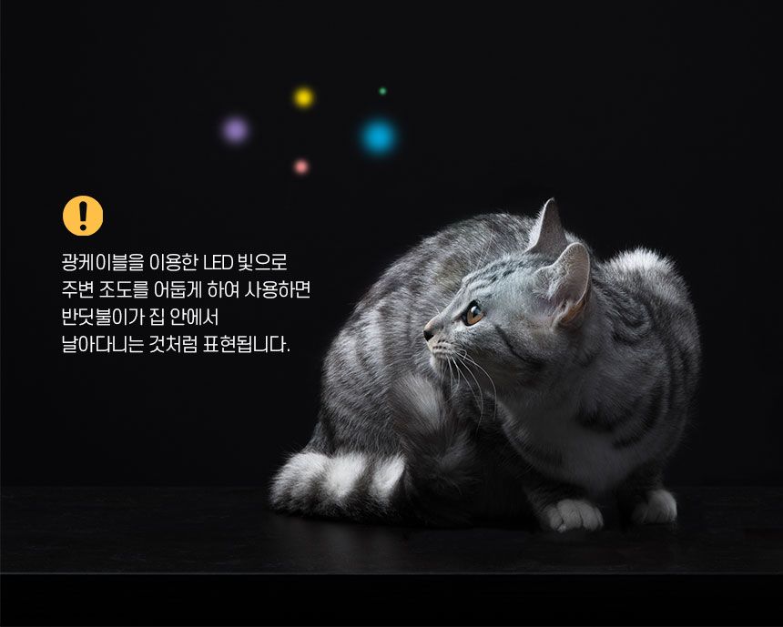 배코코 반딧불 낚시대 5종 11번째