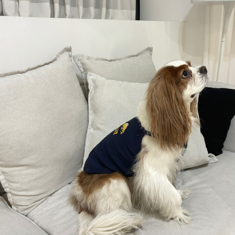 [무료배송] 해피댕댕 자동차나시 S - 2XL 11번째
