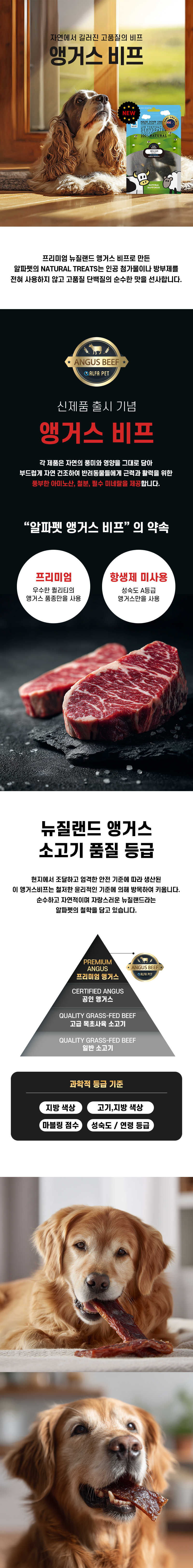 [무료배송] 알파펫 앵거스비프 70g 1번째