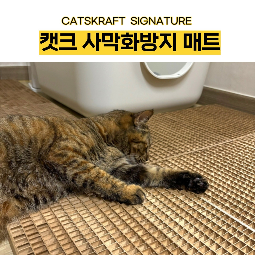 [무료배송] 캣츠크라프트 캣크사막화방지매트 자석모래매트 29.5*29.5 3번째