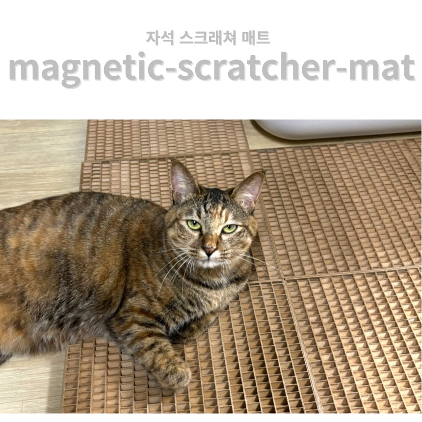[무료배송] 캣츠크라프트 캣크사막화방지매트 자석모래매트 29.5*29.5 4번째
