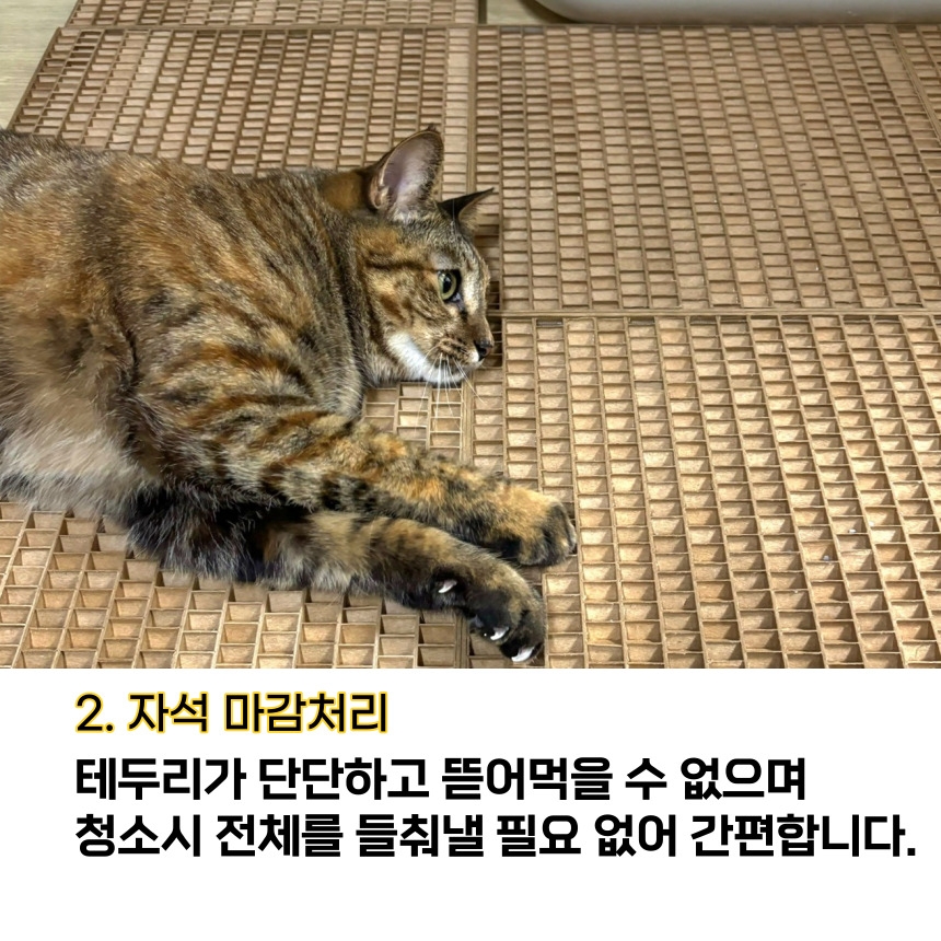 [무료배송] 캣츠크라프트 캣크사막화방지매트 자석모래매트 29.5*29.5 10번째