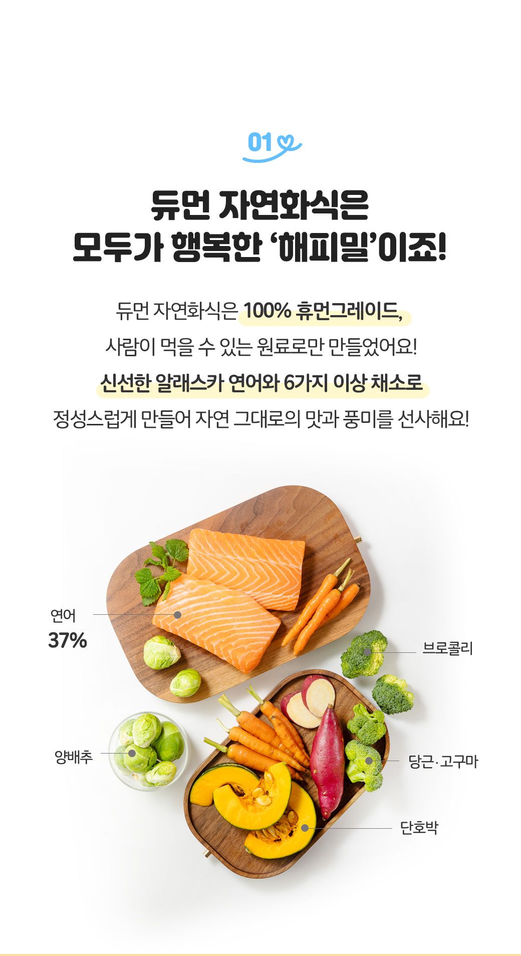 [무료배송] 듀먼 강아지 자연화식 연어&채소 100g 8팩 8번째