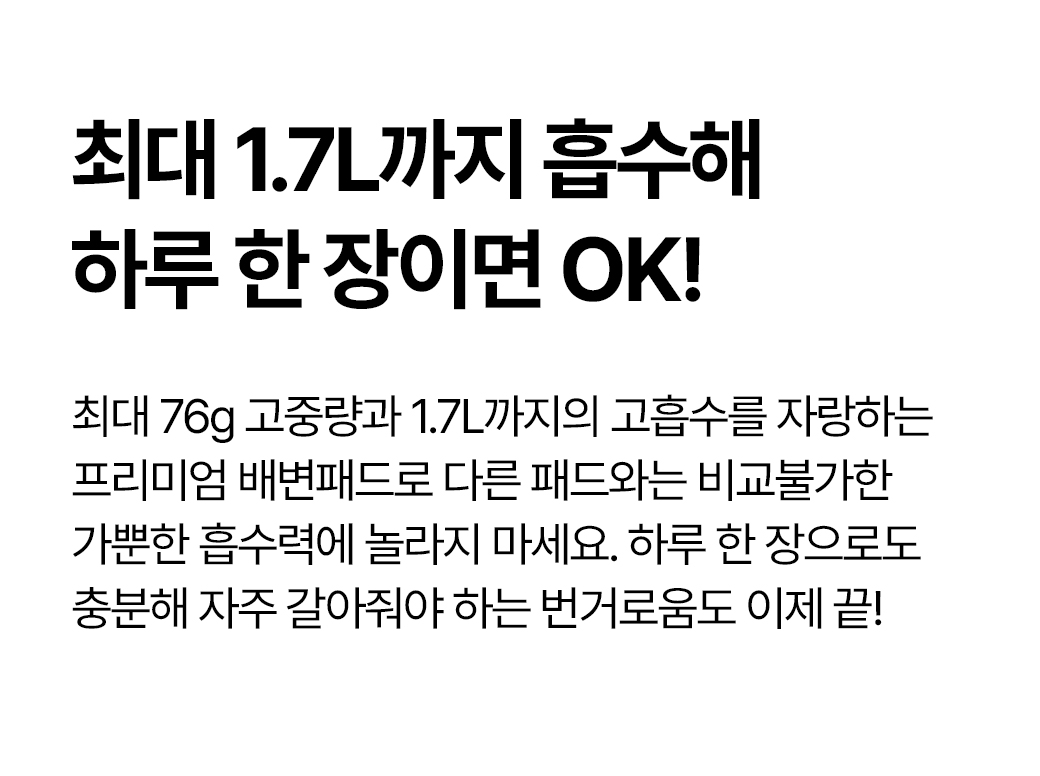 [무료배송] 듀먼 토네이도 배변패드 소형 50매(40x50cm) 6번째